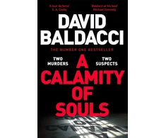 KNYGA David Baldacci Calamity of Souls