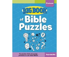 KNYGA David C Cook Bbo Bible Puzzles for Preteens