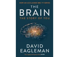 KNYGA David Eagleman Eagleman David Brain: The Story of You