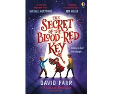 KNYGA David Farr Book of Stolen Dreams: The Secret Key