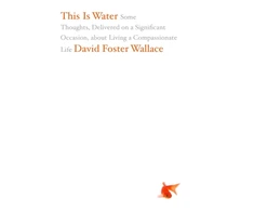 KNYGA David Foster Wallace This Is Vanduo