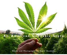 KNYGA David Goodman American Cannabis Story