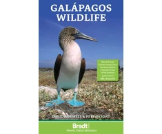 KNYGA David Horwell Galapagos Wildlife