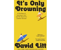KNYGA David Litt It's Only Drowning