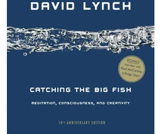 KNYGA David Lynch Catching the Big Fish, Meditation, Consciousness, and Creativity