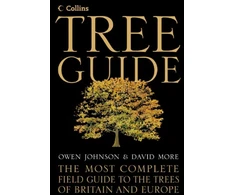 KNYGA David More Collins Tree Guide