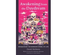 KNYGA David Nichtern Awakening from the Daydream