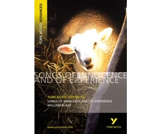 KNYGA David Punter Songs of Innocence and Experience: York Notes Advanced - for 2026, 2027 exams
