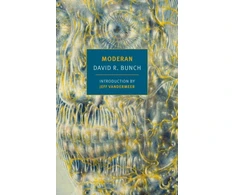 KNYGA David R Bunch Moderan