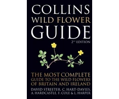 KNYGA David Streeter Collins Wild Flower Guide