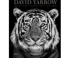 KNYGA David Yarrow Photography, Americas Africa Antarctica Arctic Asia Europe