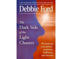 KNYGA Debbie Ford Dark Side of the Light Chasers
