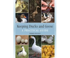 KNYGA Debbie Kingsley Keeping Ducks and Geese