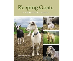KNYGA Debbie Kingsley Keeping Goats