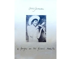 KNYGA Derek Jarman; So Mayer; Keith Collins; T Finger in the Fishes Mouth
