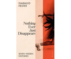 KNYGA Diarmuid Hester Nothing Ever Just Disappears, Seven Hidden Histories