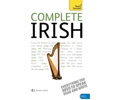KNYGA Diarmuid O Se Complete Irish Beginner to Intermediate Book and Audio Course