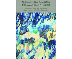 KNYGA Dilawar Karadaghi; Jiyar Homer; Mike Bay My Country's Hair Turned Baltas