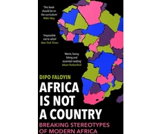 KNYGA Dipo Faloyin Africa Is Not A Country, Breaking Stereotypes of Modern Africa