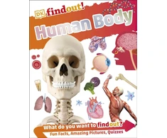 KNYGA Dk Publishing DKfindout! Human Body