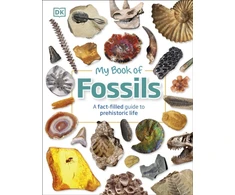 KNYGA Dk Publishing My Book of Fossils, A fact-filled guide to prehistoric life