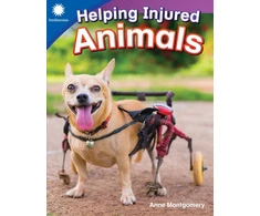 KNYGA Dona Rice Helping Injured Animals