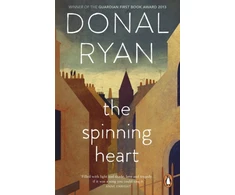 KNYGA Donal Ryan Spinning Heart