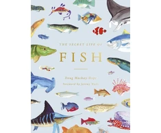 KNYGA Doug Mackay Secret Life of Fish