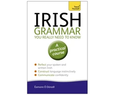 KNYGA Eammon O Donaill Irish Grammar You Really Need to Know: Teach Yourself