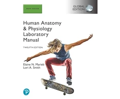 KNYGA Elaine Marieb Human Anatomy &amp; Physiology Laboratory Manual, Main Version, Global Edition