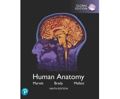 KNYGA Elaine Nicpon Marieb Human Anatomy, Global Edition