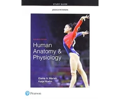 KNYGA Elaine Nicpon Marieb Study Guide for Human Anatomy &amp; Physiology