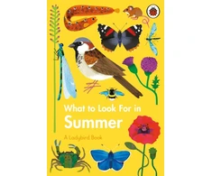 KNYGA Elizabeth Jenner What to Look For in Summer