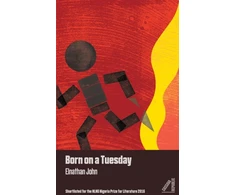 KNYGA Elnathan John Born on a Tuesday