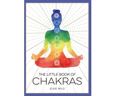 KNYGA Elsie Wild Little Book of Chakras
