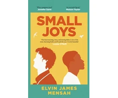 KNYGA Elvin Mensah Small Joys, A Buzzfeed 'Amazing New Book You Need to Read ASAP'