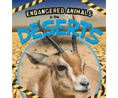 KNYGA Emilie Dufresne In the Deserts