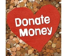 KNYGA Emily Raij Donate Money