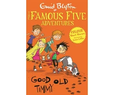 KNYGA Enid Blyton Famous Five Colour Short Stories: Good Old Timmy