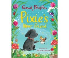 KNYGA Enid Blyton Pixie's New Friend