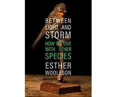 KNYGA Esther Woolfson Between Light and Storm