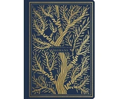 KNYGA Esv Bibles ESV Illuminated Scripture Journal, Romans (Paperback)