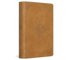 KNYGA Esv Bibles ESV Large Print Bible