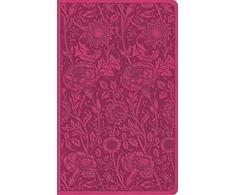 KNYGA Esv Bibles ESV Vest Pocket New Testament with Psalms and Proverbs, Raudona Letter
