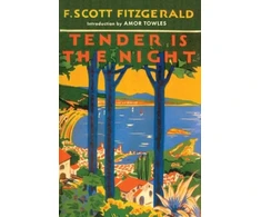 KNYGA F Scott Fitzgerald Tender is the Night
