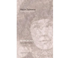 KNYGA Feinstein Tsvetaeva Bride of Ice