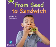 KNYGA Fiona Kent Bug Club Phonics - Phase 1 Unit 0: From Seed to Sandwich