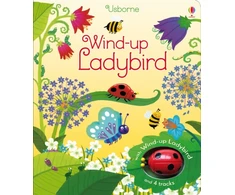 KNYGA Fiona Watt Wind-up Ladybird
