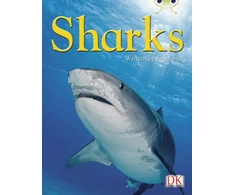 KNYGA Fleur Star BC NF Mėlyna (KS2) B/4A Sharks