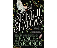 KNYGA Frances Hardinge Skinful of Shadows